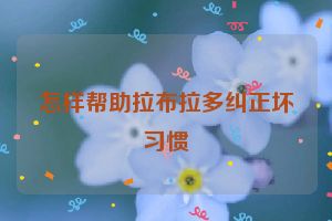 怎样帮助拉布拉多纠正坏习惯