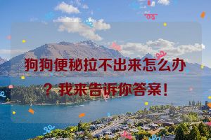 狗狗便秘拉不出来怎么办？我来告诉你答案！