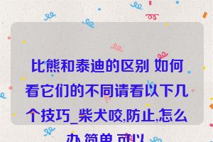 比熊和泰迪的区别 如何看它们的不同请看以下几个技巧_柴犬咬,防止,怎么办,简单,可以