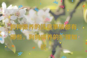 狗狗喂养的注意事项都有哪些，狗狗喂养的护理知识