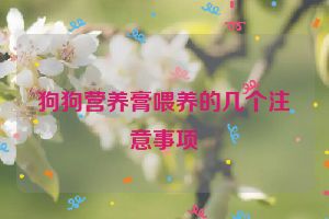 狗狗营养膏喂养的几个注意事项