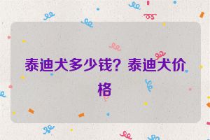 泰迪犬多少钱？泰迪犬价格