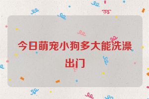 今日萌宠小狗多大能洗澡出门