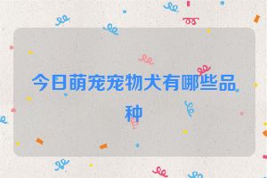 今日萌宠宠物犬有哪些品种