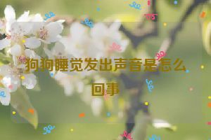 狗狗睡觉发出声音是怎么回事