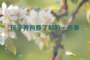 孩子养狗要了解的一些事