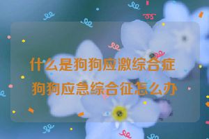 什么是狗狗应激综合症 狗狗应急综合征怎么办