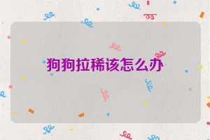 狗狗拉稀该怎么办