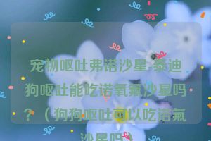 宠物呕吐弗诺沙星-泰迪狗呕吐能吃诺氧氟沙星吗？（狗狗呕吐可以吃诺氟沙星吗）