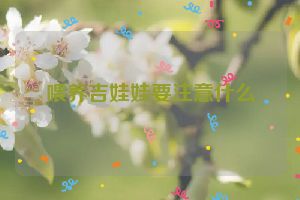 喂养吉娃娃要注意什么
