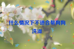 什么情况下不适合帮狗狗洗澡