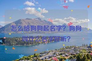 怎么给狗狗起名字？狗狗叫什么名字好听？