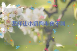 怎样让小奶狗半夜不叫