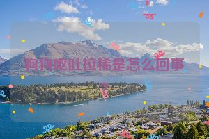 狗狗呕吐拉稀是怎么回事？