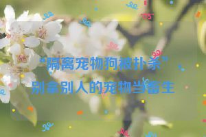 “隔离宠物狗被扑杀”，别拿别人的宠物当畜生