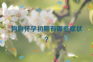 狗狗怀孕初期有哪些症状？