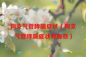 狗支气管哮喘症状（狗支气管哮喘症状有哪些）