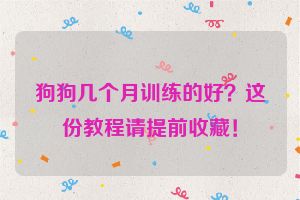 狗狗几个月训练的好？这份教程请提前收藏！