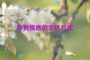 狗狗情感的表达方式