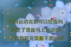 狗狗运动完后可以吃饭吗-狗吃了饭能马上运动吗?（狗狗吃完饭能不能运动）