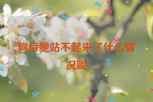 狗后腿站不起来了什么情况呢