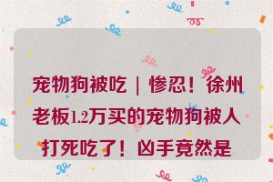 宠物狗被吃 | 惨忍！徐州老板1.2万买的宠物狗被人打死吃了！凶手竟然是