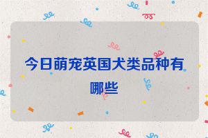 今日萌宠英国犬类品种有哪些