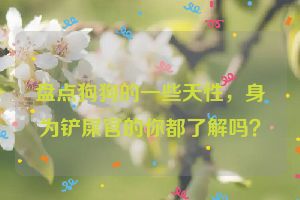 盘点狗狗的一些天性，身为铲屎官的你都了解吗？
