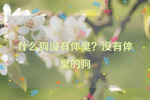 什么狗没有体臭？没有体臭的狗