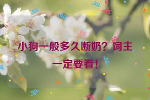 小狗一般多久断奶？饲主一定要看！