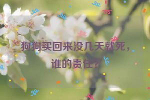 狗狗买回来没几天就死，谁的责任？