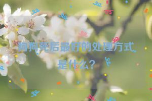 狗狗死后最好的处理方式是什么？