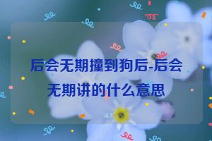 后会无期撞到狗后-后会无期讲的什么意思