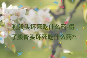 狗股头坏死吃什么药-得了股骨头坏死吃什么药??