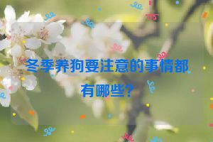 冬季养狗要注意的事情都有哪些？