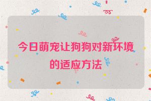 今日萌宠让狗狗对新环境的适应方法