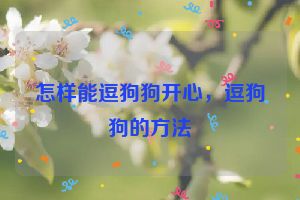 怎样能逗狗狗开心，逗狗狗的方法