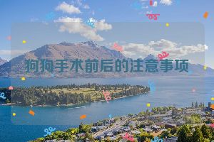 狗狗手术前后的注意事项