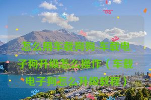 怎么用车载狗狗-车载电子狗升级怎么操作（车载电子狗怎么升级教程）