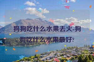 狗狗吃什么水果去火-狗狗吃什么水果最好?