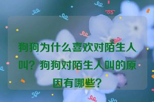 狗狗为什么喜欢对陌生人叫？狗狗对陌生人叫的原因有哪些？