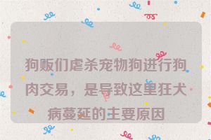 狗贩们虐杀宠物狗进行狗肉交易，是导致这里狂犬病蔓延的主要原因