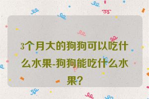 3个月大的狗狗可以吃什么水果-狗狗能吃什么水果？