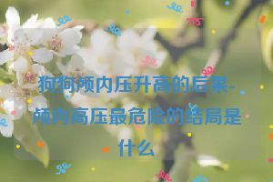 狗狗颅内压升高的后果-颅内高压最危险的结局是什么