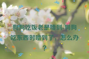 狗狗吃饭老是噎到-狗狗吃东西时噎到了，怎么办？