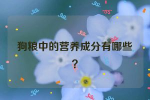 狗粮中的营养成分有哪些？