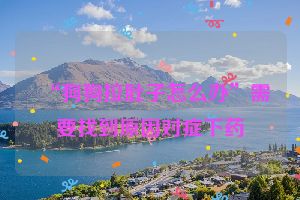 “狗狗拉肚子怎么办”需要找到原因对症下药