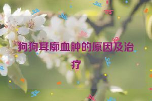 狗狗耳廓血肿的原因及治疗