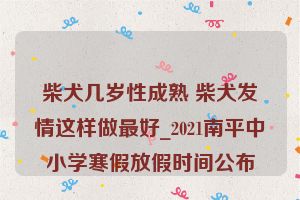 柴犬几岁性成熟 柴犬发情这样做最好_2021南平中小学寒假放假时间公布