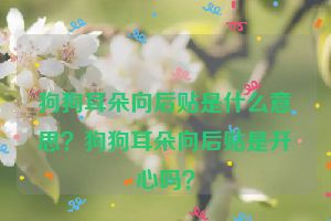 狗狗耳朵向后贴是什么意思？狗狗耳朵向后贴是开心吗？